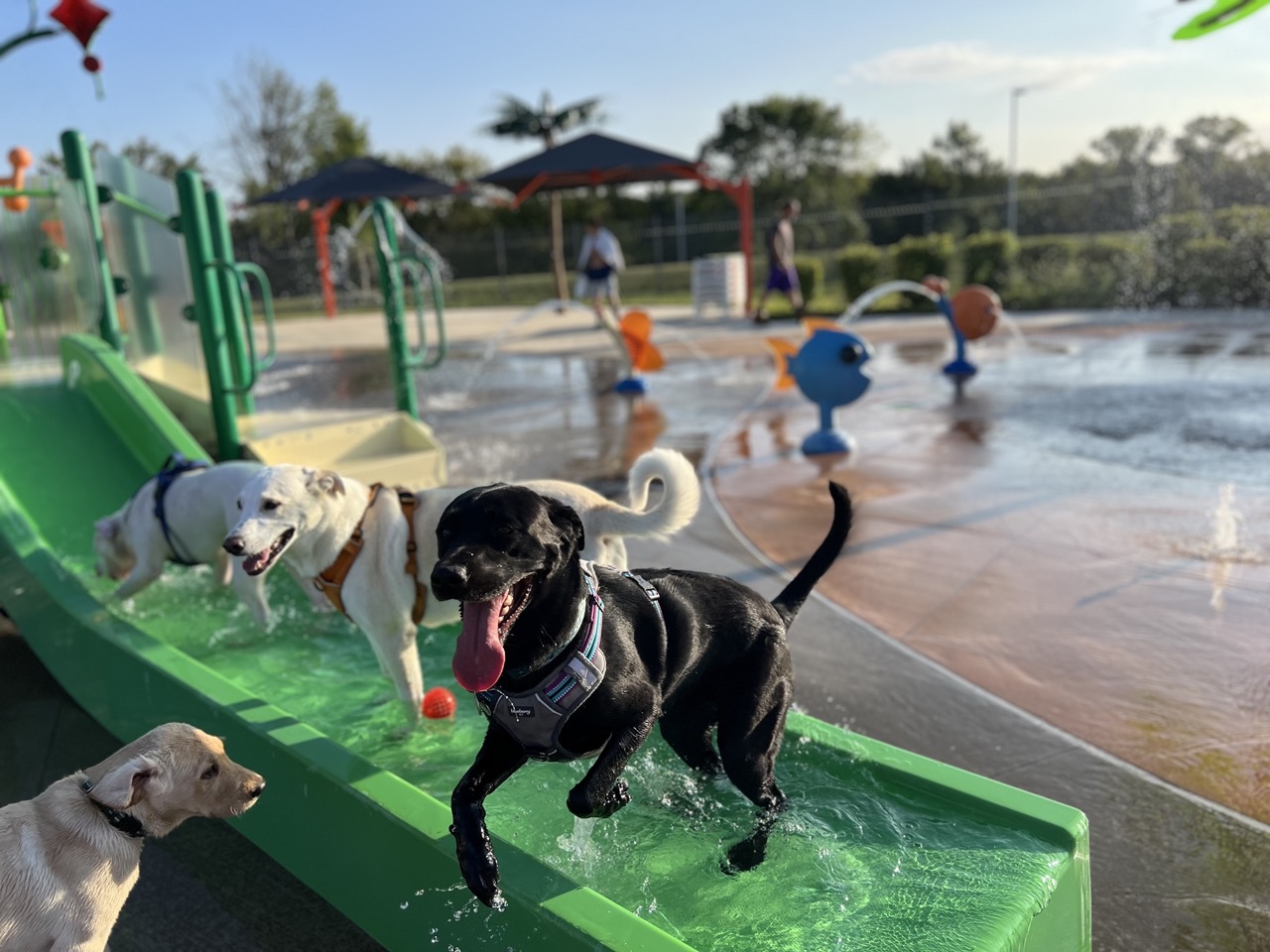 Jackson County Water park3