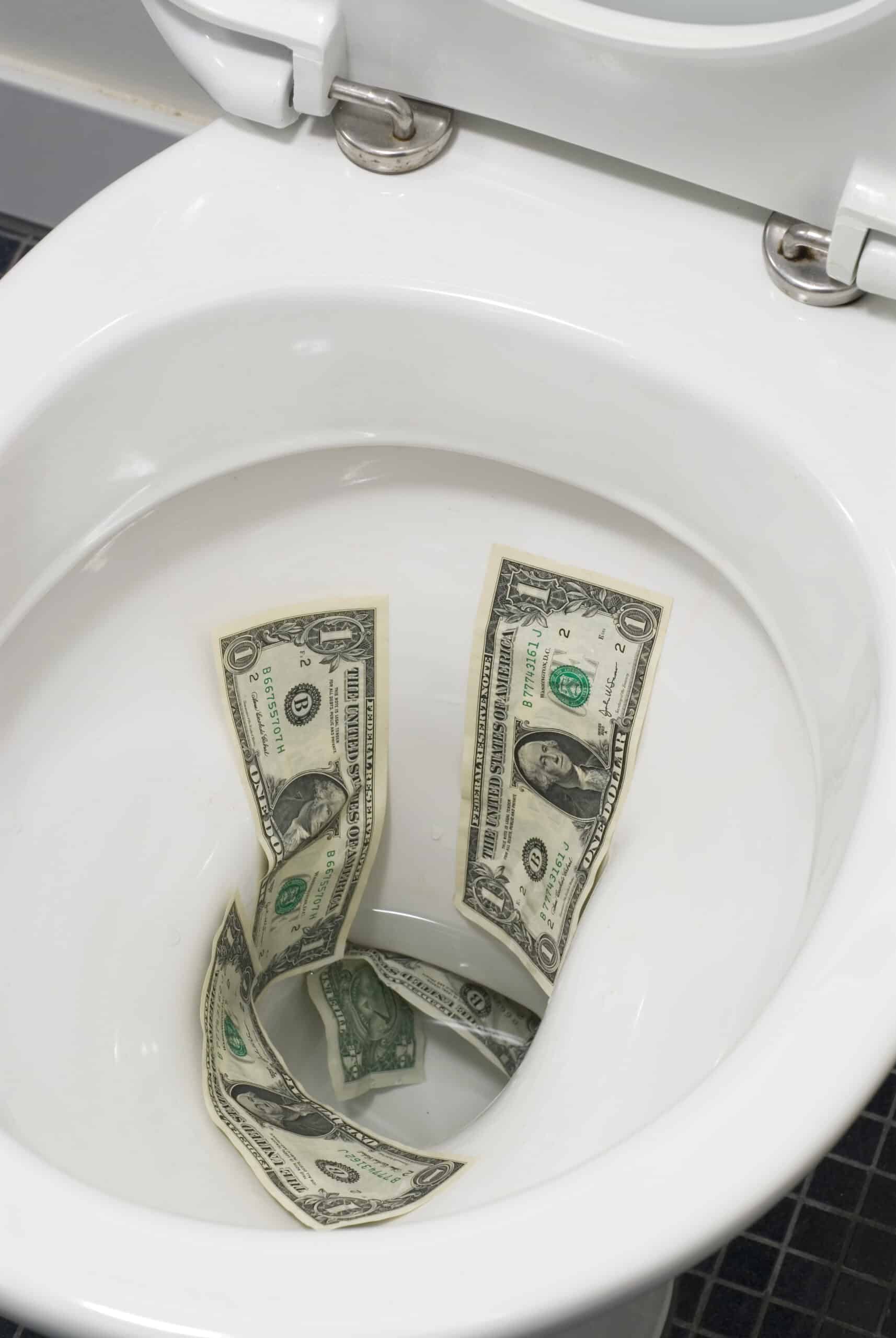 dollar bills down toilet